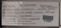 Image Associated With the Occurence